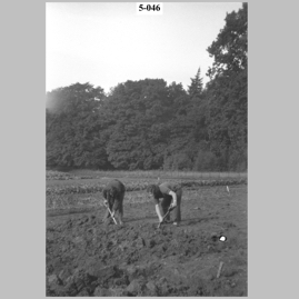 Two boys working in a field.jpg